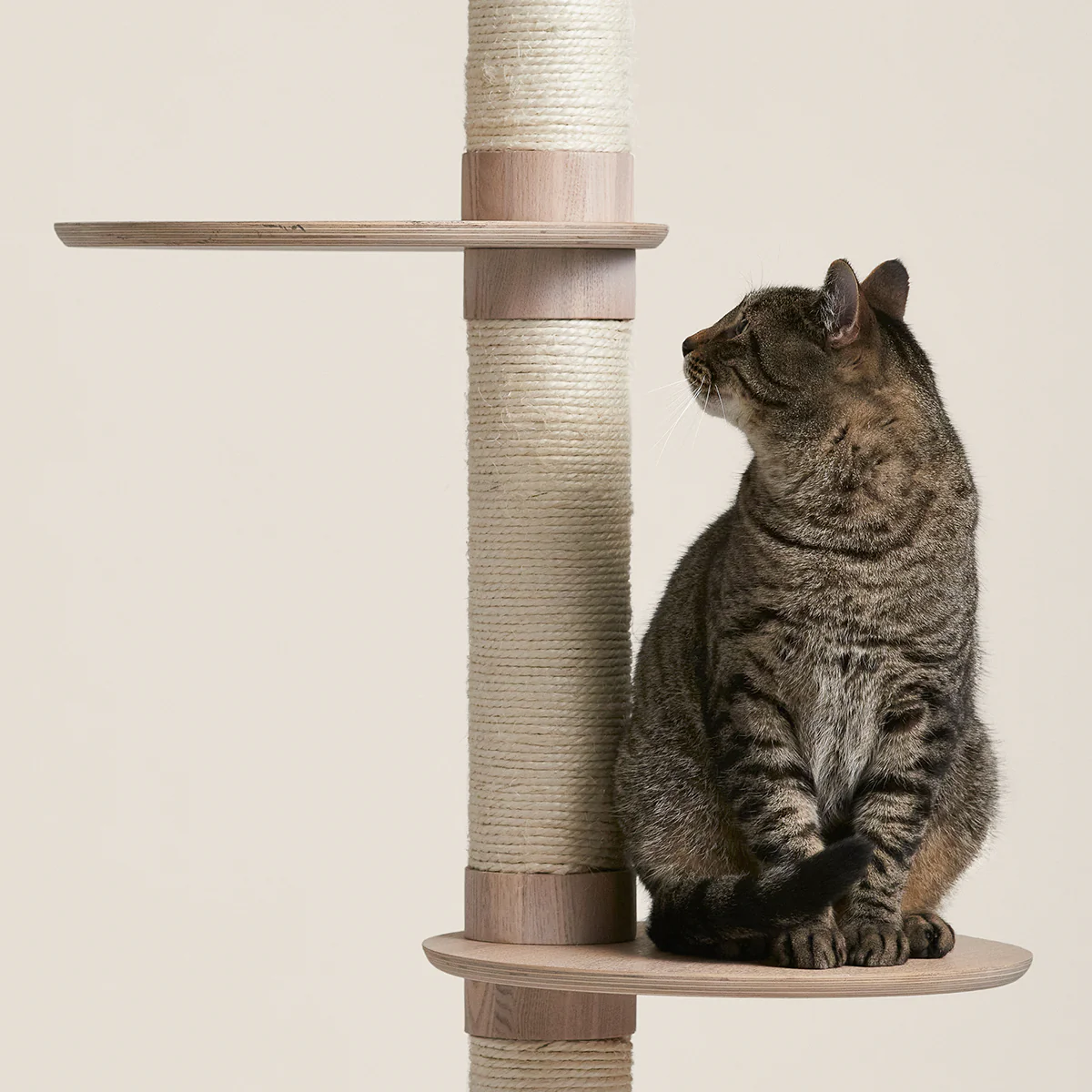 Frond Cat Tree