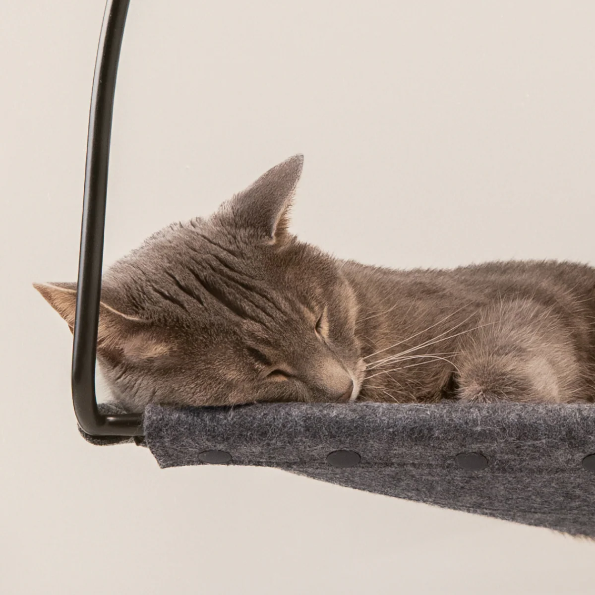 Cloud Nine Window Hammock