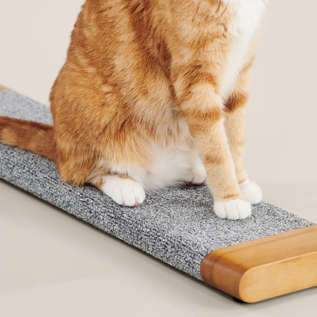 Tab Scratching Board-0022